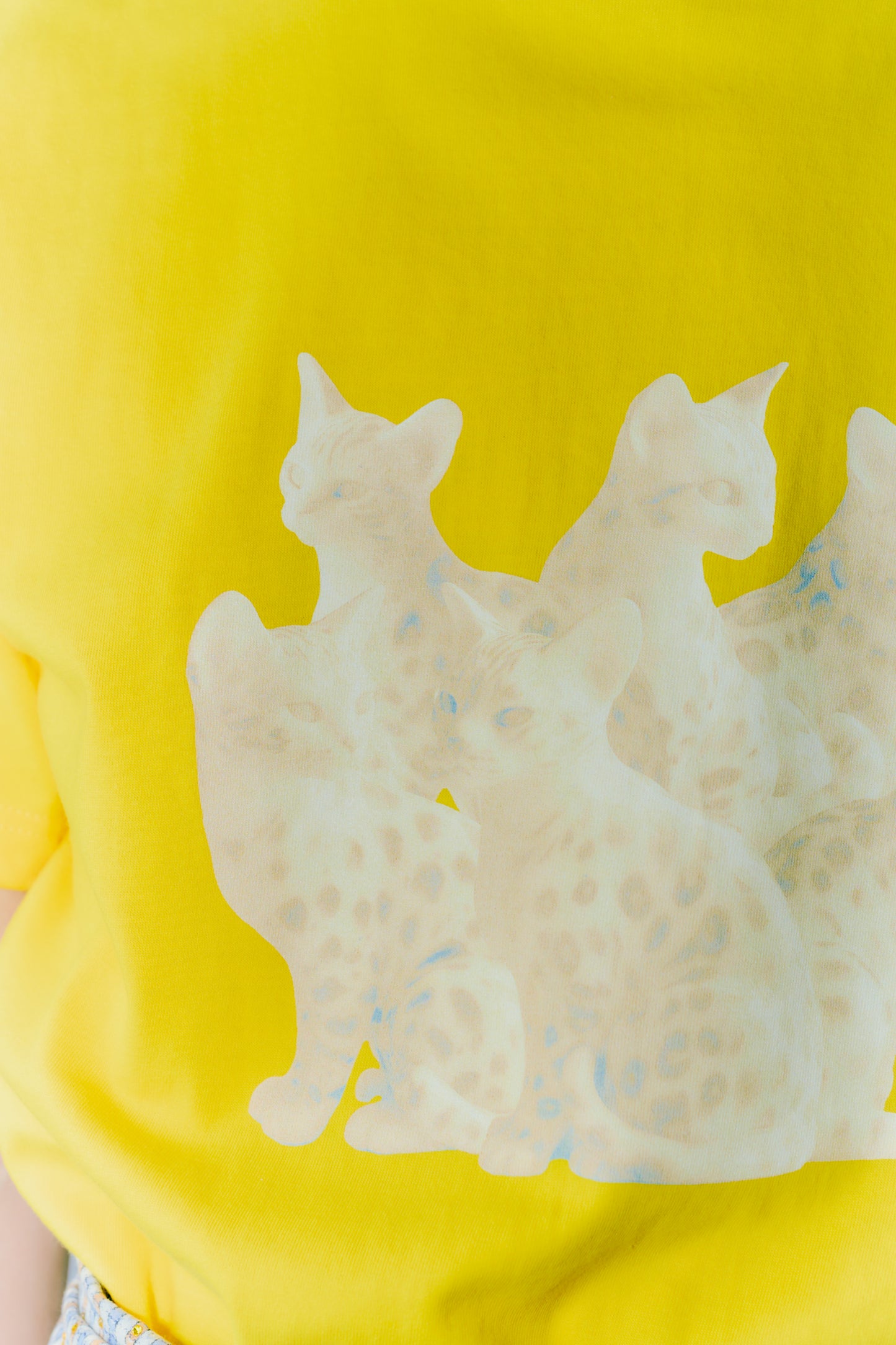 TOUKI CAT Tshirt / YELLOW