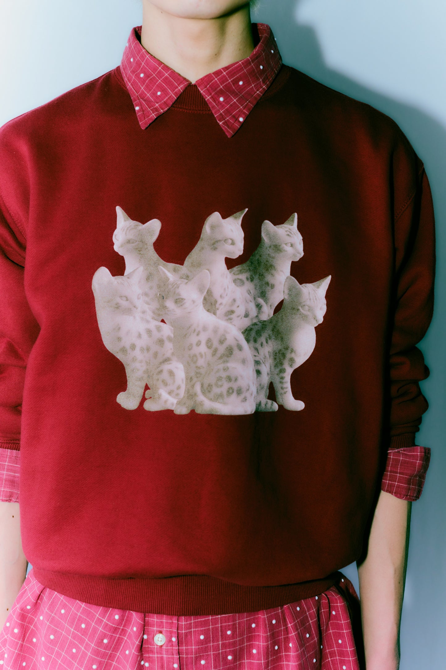TOUKI CAT Sweat / OLD RED