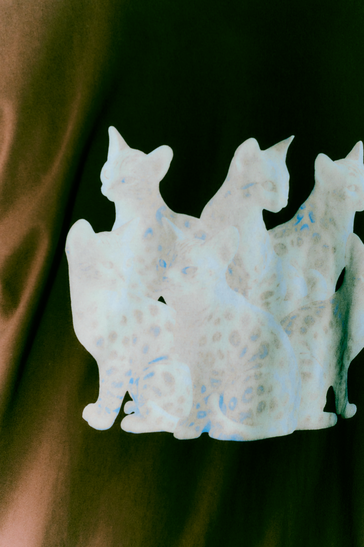 TOUKI CAT Tshirt / BROWN