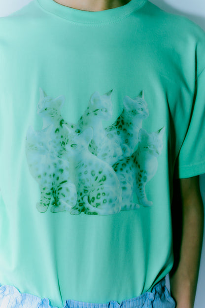 TOUKI CAT Tshirt / WHITE GREEN