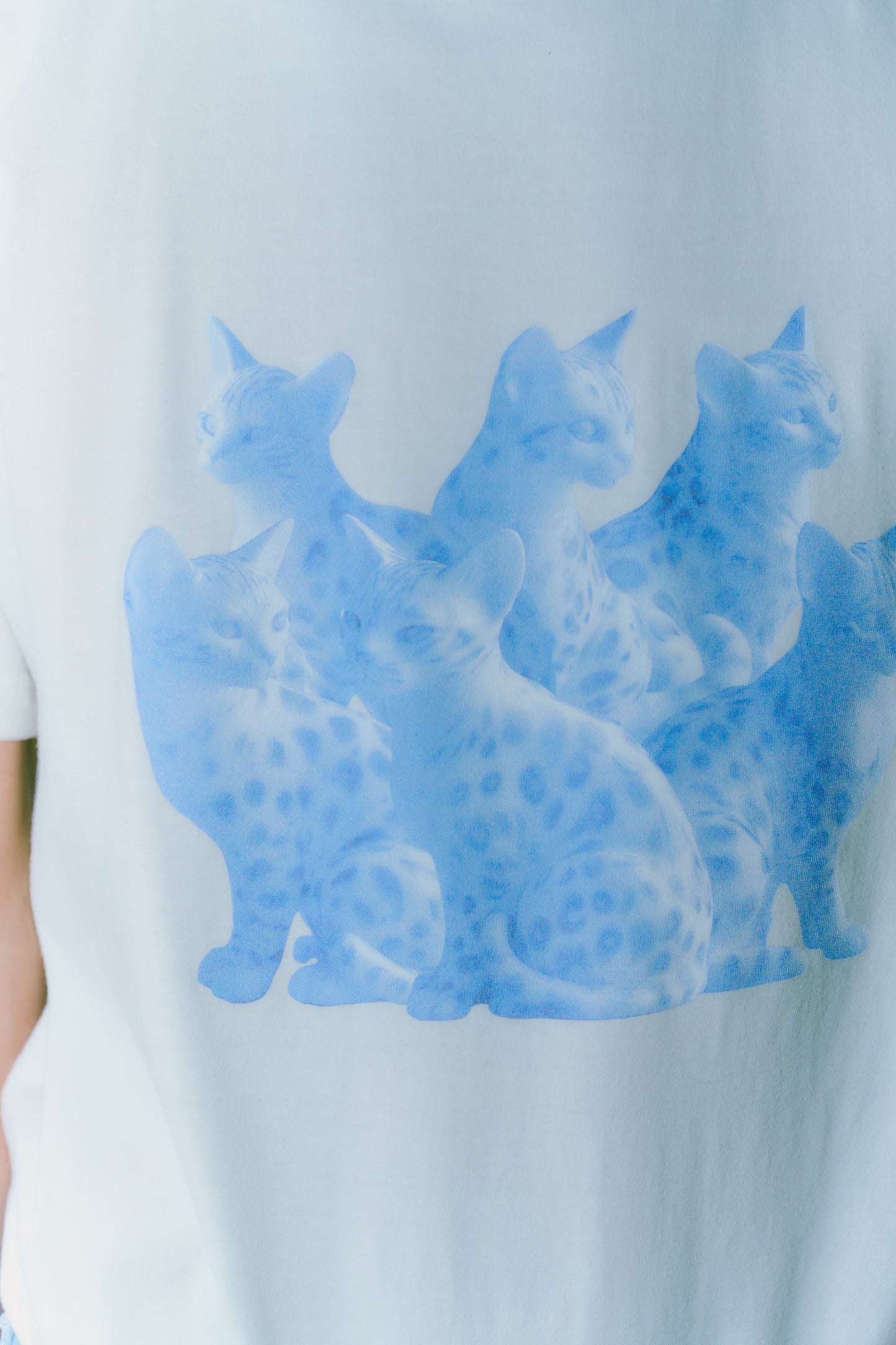 TOUKI CAT Tshirt / WHITE
