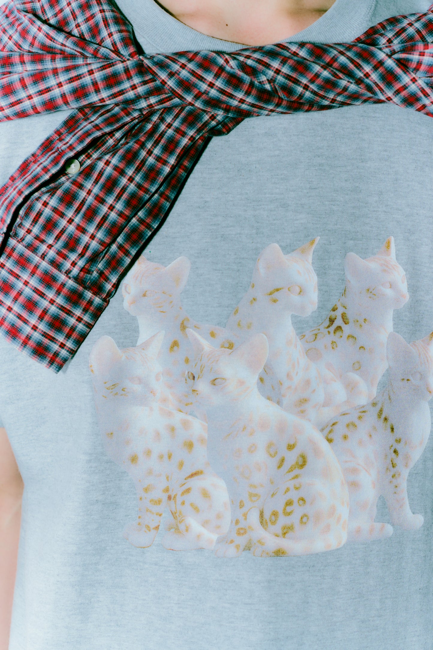 TOUKI CAT Tshirt / GRAY
